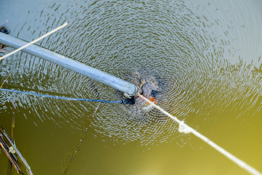 A submersible garden pump immersed in a pond. Pumping water for irrigation